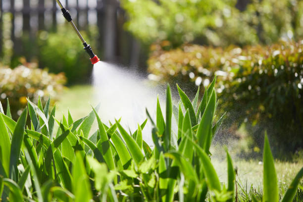 24/7 Emergency Ant Control experts in Milan, MI