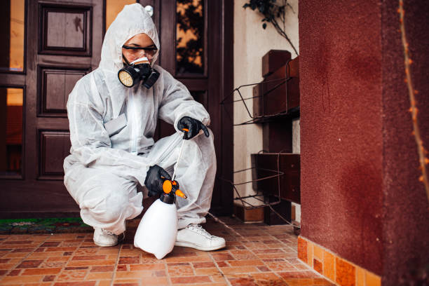 Reliable Ant Control contractor in Milan, MI by Nex Pest Control