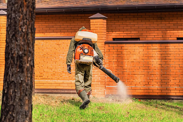 Top rated local Ant Control specialists in Milan, MI